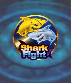 Shark Fight