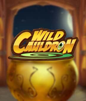 Wild Cauldron