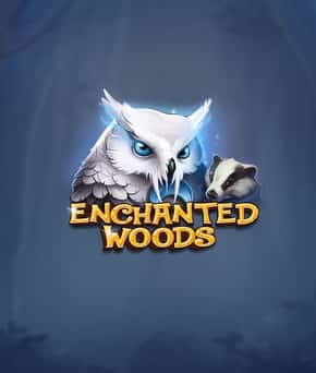 Enchanted Woods