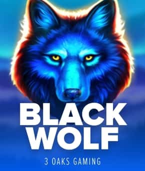 Black Wolf: Hold and Win