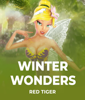 Winter Wonders