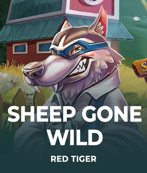 Sheep Gone Wild