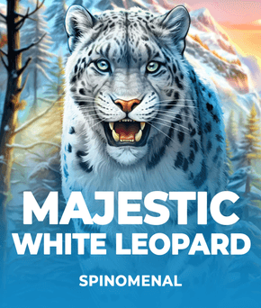 Majestic White Leopard