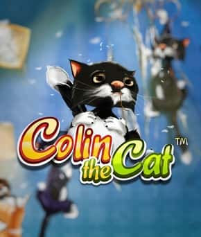 Colin the Cat