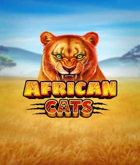 African Cats