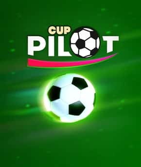 Pilot Cup