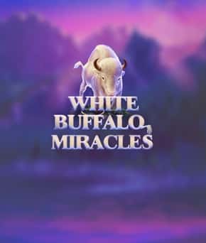 White Buffalo Miracles