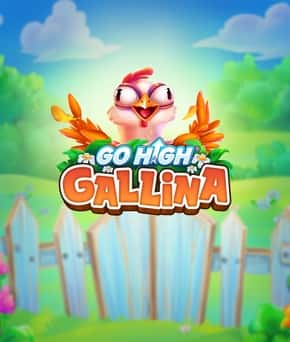 Go High Gallina