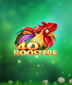 40 Roosters