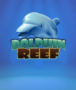 Dolphin Reef