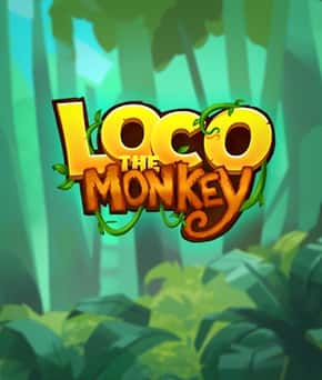 Loco the Monkey