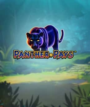 Panther Pays