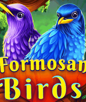 Formosan Birds