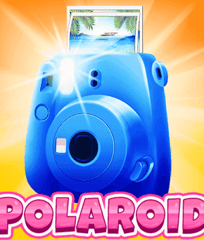 Polaroid