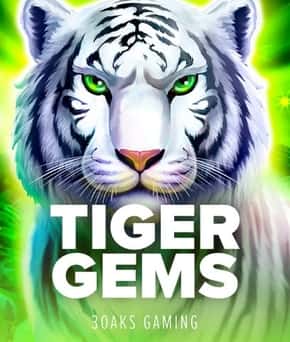 Tiger Gems