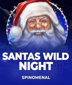 Santas Wild Night