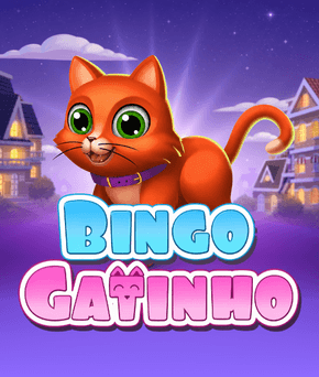 Bingo Gatinho